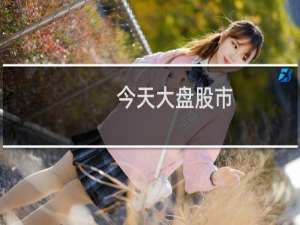 今天大盘股市