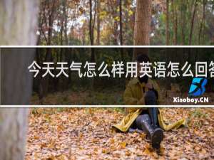今天天气怎么样用英语怎么回答