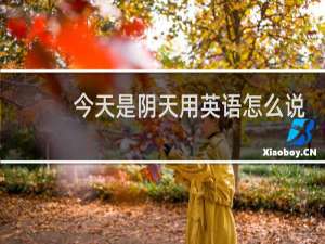 今天是阴天用英语怎么说