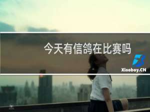 今天有信鸽在比赛吗