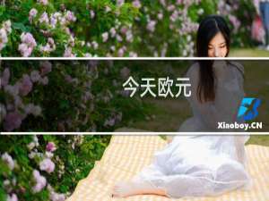 今天欧元（今天欧元换多少）