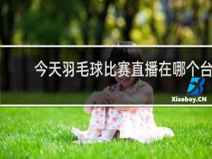 今天羽毛球比赛直播在哪个台
