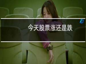 今天股票涨还是跌
