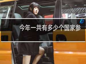 今年一共有多少个国家参加奥运会