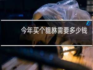 今年买个貔貅需要多少钱