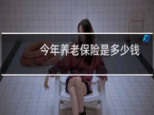 今年养老保险是多少钱