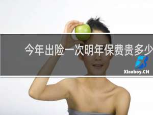 今年出险一次明年保费贵多少
