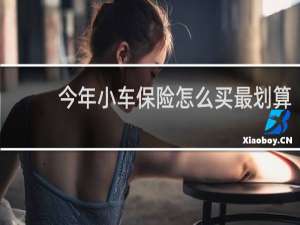 今年小车保险怎么买最划算
