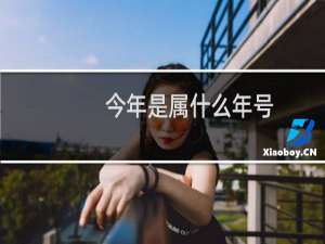 今年是属什么年号