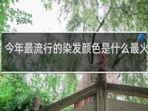 今年最流行的染发颜色是什么最火双色