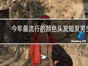 今年最流行的颜色头发短发男生