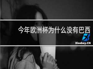 今年欧洲杯为什么没有巴西