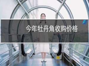 今年牡丹角收购价格