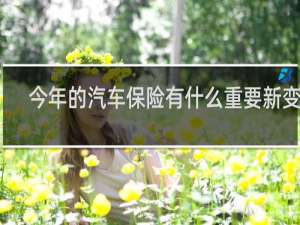 今年的汽车保险有什么重要新变化