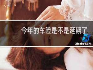 今年的车险是不是延期了