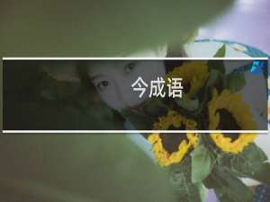 今成语