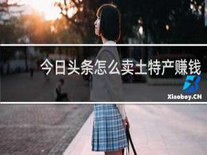 今日头条怎么卖土特产赚钱
