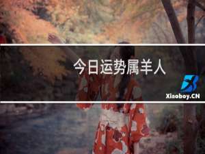 今日运势属羊人