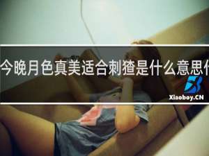 今晚月色真美适合刺猹是什么意思什么梗