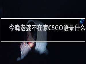 今晚老婆不在家CSGO语录什么梗