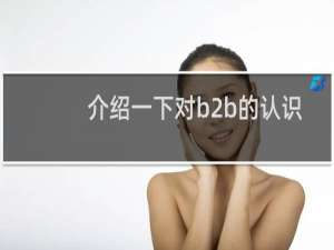 介绍一下对b2b的认识