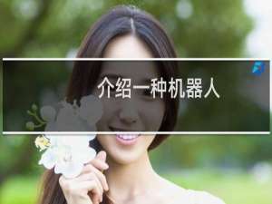 介绍一种机器人