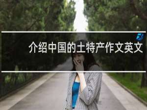 介绍中国的土特产作文英文