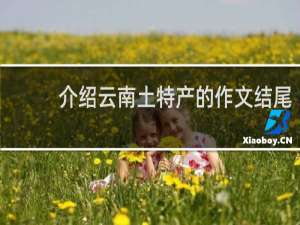 介绍云南土特产的作文结尾