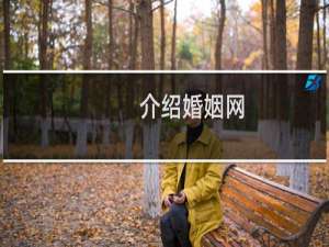 介绍婚姻网