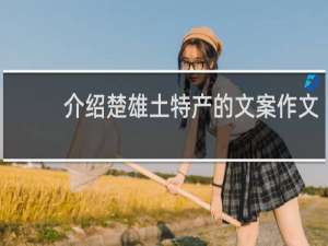 介绍楚雄土特产的文案作文