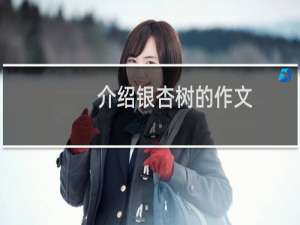 介绍银杏树的作文