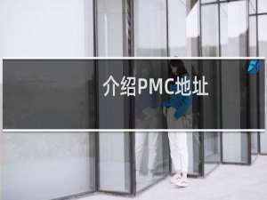介绍PMC地址