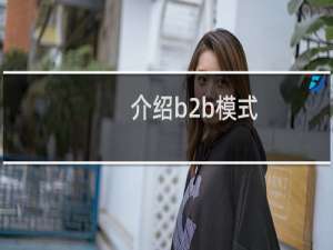 介绍b2b模式