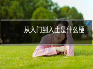 从入门到入土是什么梗