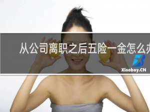 从公司离职之后五险一金怎么办