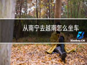 从南宁去越南怎么坐车