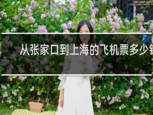 从张家口到上海的飞机票多少钱