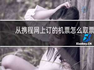 从携程网上订的机票怎么取票