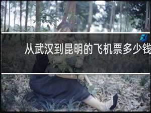 从武汉到昆明的飞机票多少钱