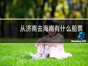 从济南去海南有什么船票