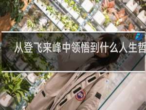 从登飞来峰中领悟到什么人生哲理