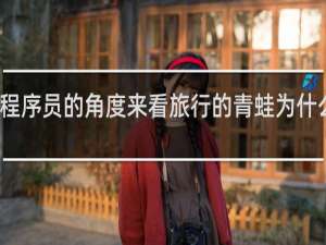 从程序员的角度来看旅行的青蛙为什么这么火
