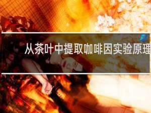 从茶叶中提取咖啡因实验原理