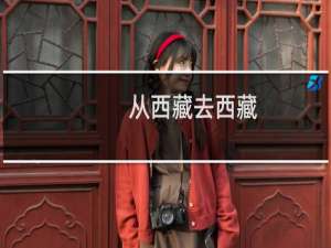 从西藏去西藏