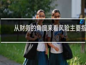 从财务的角度来看风险主要指