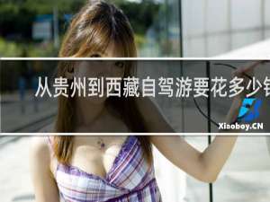 从贵州到西藏自驾游要花多少钱