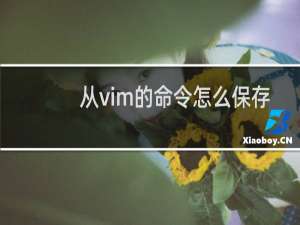 从vim的命令怎么保存