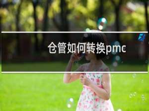 仓管如何转换pmc