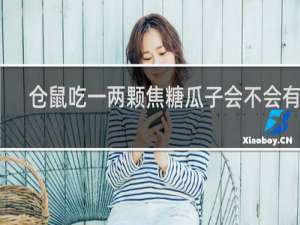 仓鼠吃一两颗焦糖瓜子会不会有事