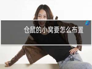 仓鼠的小窝要怎么布置
